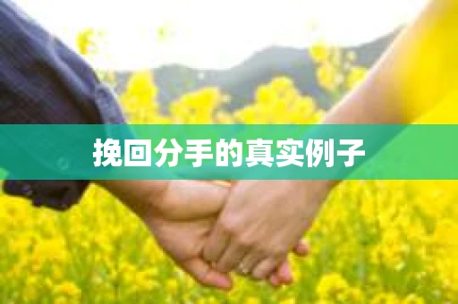 挽回分手的真实例子