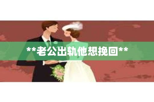 **老公出轨他想挽回**