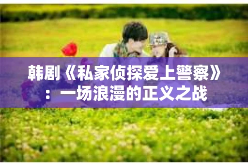 韩剧《私家侦探爱上警察》：一场浪漫的正义之战