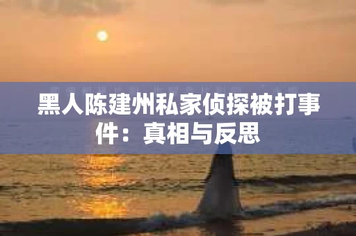 黑人陈建州私家侦探被打事件：真相与反思