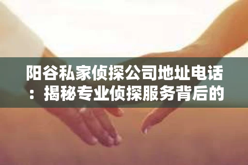 阳谷私家侦探公司地址电话：揭秘专业侦探服务背后的故事