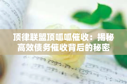 顶律联盟顶呱呱催收：揭秘高效债务催收背后的秘密