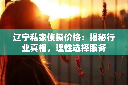 辽宁私家侦探价格：揭秘行业真相，理性选择服务