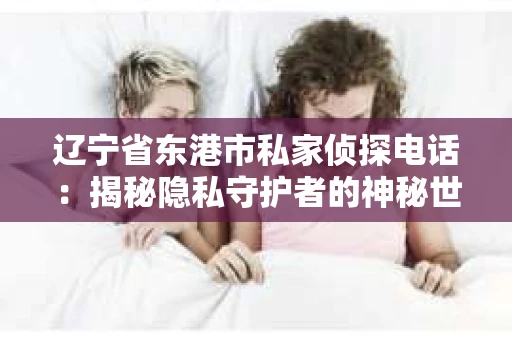 辽宁省东港市私家侦探电话：揭秘隐私守护者的神秘世界