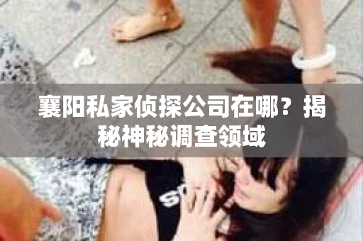 襄阳私家侦探公司在哪？揭秘神秘调查领域