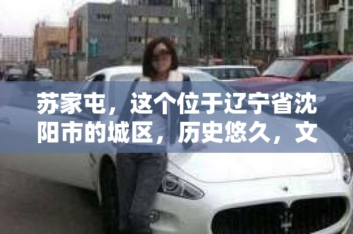 苏家屯，这个位于辽宁省沈阳市的城区，历史悠久，文化底蕴深厚。近年来，随着社会的发展，人们对于私家侦探的需求也逐渐增加。那么，苏家屯有私家侦探吗？今天，我们就来聊聊这个话题。