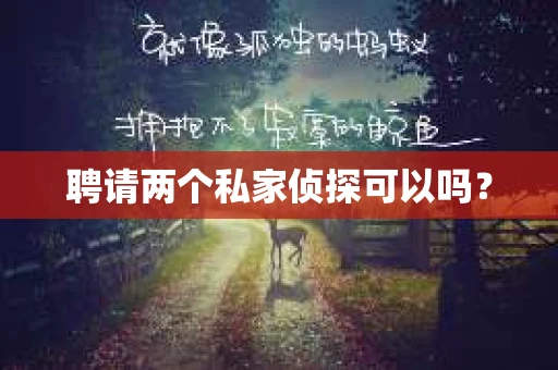 聘请两个私家侦探可以吗? 聘请两个私家侦探可以吗?