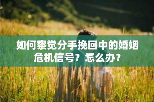 如何察觉分手挽回中的婚姻危机信号？怎么办？