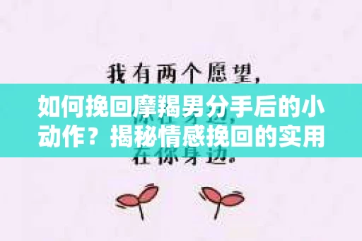 如何挽回摩羯男分手后的小动作？揭秘情感挽回的实用策略