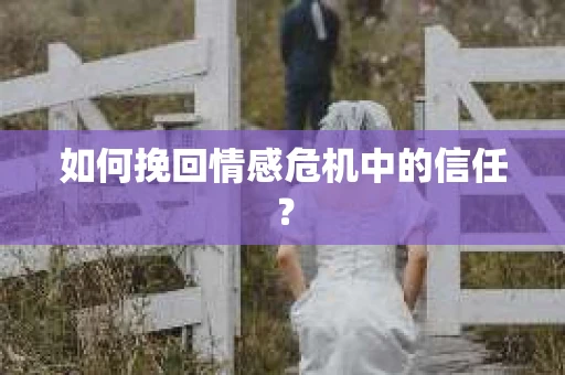 如何挽回情感危机中的信任？